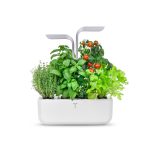 Veritable® SMART Arctic White Kućni Vrt